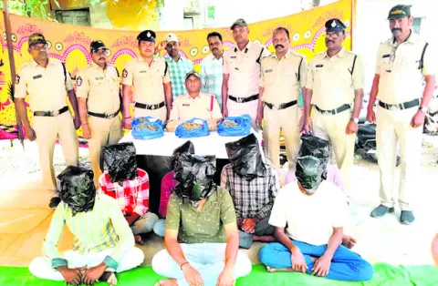 బోయనపల్లెలో బీహారీల గంజాయి!