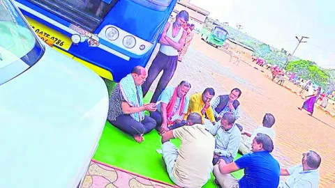 అడవిలోకి వెళ్లని పులి