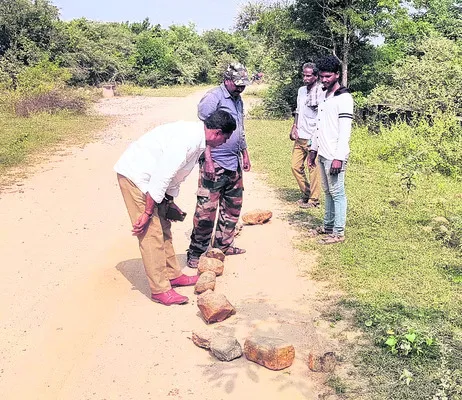 పులి సంచారంతో కలకలం 