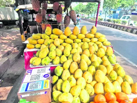 మధుర ఫలం.. ముందే వచ్చేసింది! 