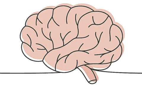 Brain differences linked to mental health in new study