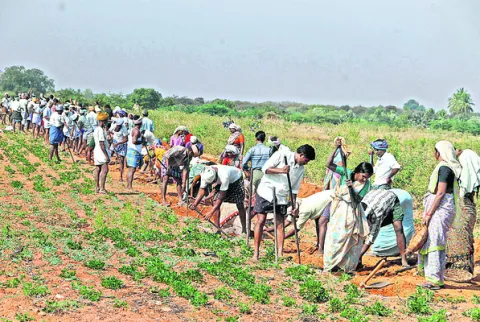 ఉపాధి నిధులతో కొత్త పనులు