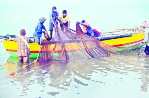 ‘అలివి’లవిల
