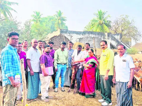 నట్టల నివారణ మందుతో జీవాలకు ఆరోగ్యం