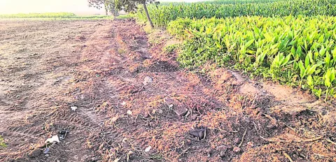 కబ్జా చేసి.. కలిపేసి!