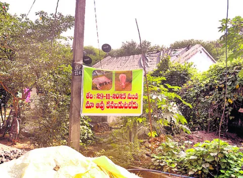 అమ్మన