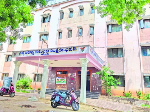 డెమో డమ్మీ?