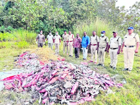 తప్పు చేసిన వారు తప్పించుకోలేరు
