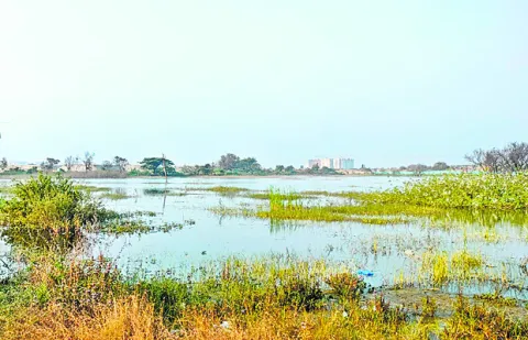 చెరబడుతున్నారు..!