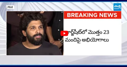 A11 Allu Arjun In Pushpa-2 Sandhya Theater Stampede Case 1