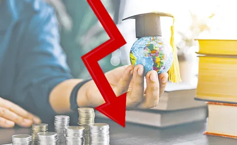 Global economic developments and visa regulations influencing students decisions14