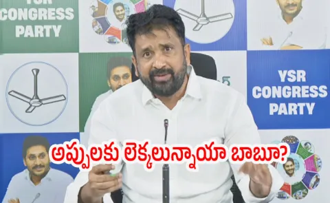 Putta Sivasankar Fires On Chandrababu Government Debt
