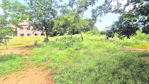 సమస్యలే ఏలు‘బడి’! 