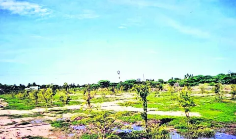 మిగులు భూమిగా చూపి.. 