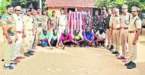 ఆరుగురు స్మగ్లర్లు అరెస్టు 