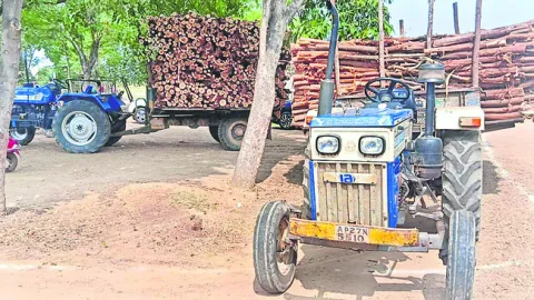 చిల్లకర్ర తరలిస్తున్న ట్రాక్టర్లు సీజ్‌ 
