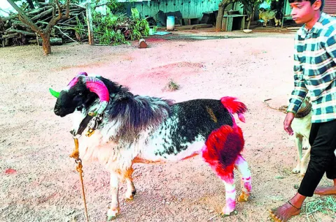 వేగంగా పాత గేట్ల తొలగింపు పనులు 