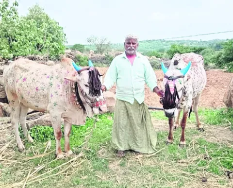 వెంటనే విడుదల చేయాలి.. 
