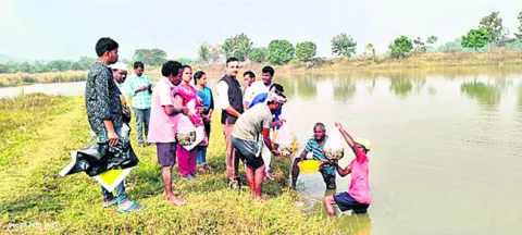 అంతా హడావుడే..!