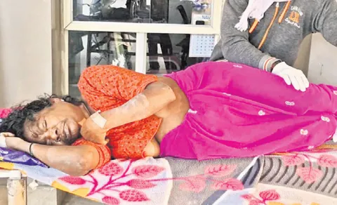 Elderly Woman Dies in Hospital Premises After Being Ignored by Staff