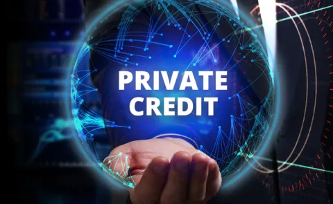 Private Credit Growth Raises Concerns Former SEBI Chief U.K. Sinha2