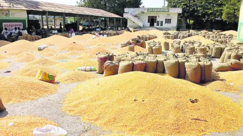 అమ్మకంలోనే సమస్యలు