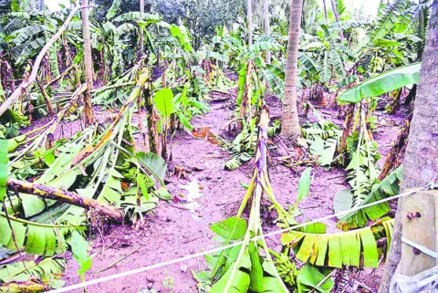 రైతన్నపై వాతావ‘రణం’
