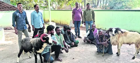 పందెంరాయుళ్ల అరెస్ట్‌ 