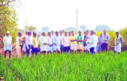 వ్యవసాయ రంగాన్ని ప్రోత్సహిస్తాం