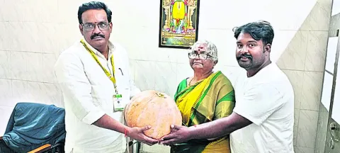 అప్పన్నకు కూరగాయల వితరణ
