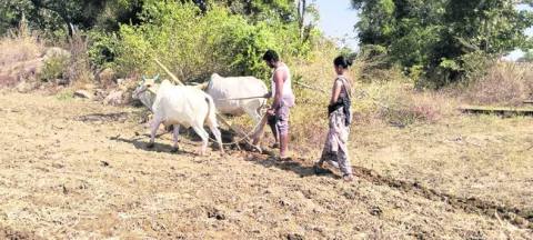 అద్దె అరకలకు డిమాండ్‌ 