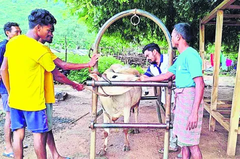 మూగవేదన