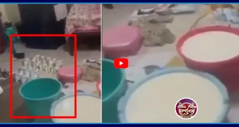 Adulterated Milk Production Using Urea In Mumbai  1