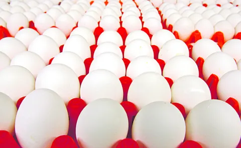 Egg prices have reached an all time record high