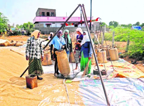  తగ్గిన దిగుబడి.. దక్కని మద్దతు ధర