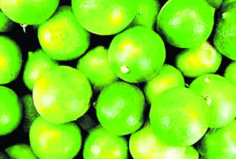 అనుమానం పెనుభూతమై..