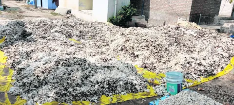 పత్తి దగ్ధం 