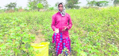 నాడు సర్పంచ్‌.. నేడు కూలీ
