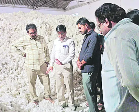 లూజు పత్తిని మాత్రమే తీసుకురావాలి 