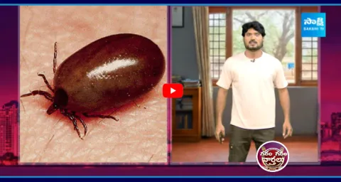 Garam Rajesh Awareness Skit On Scrub Typhus Bug 1