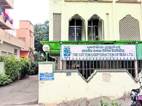 అక్రమాలకు అడ్డా సీసీఐ