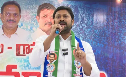 YS Avinash Reddy Fires On Chandrababu Government