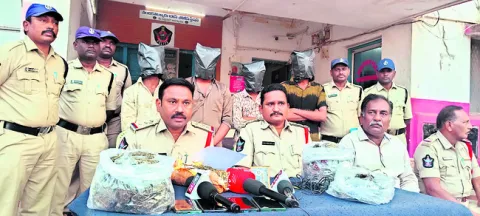 గంజాయి విక్రేతల అరెస్ట్‌