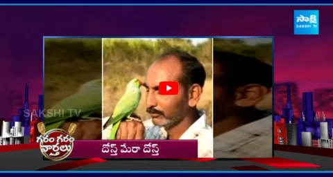 Parrot Farmer Friendship Viral On Social Media  1