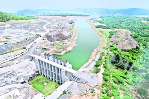 ఇతర పంటలకే ప్రాధాన్యం.. 
