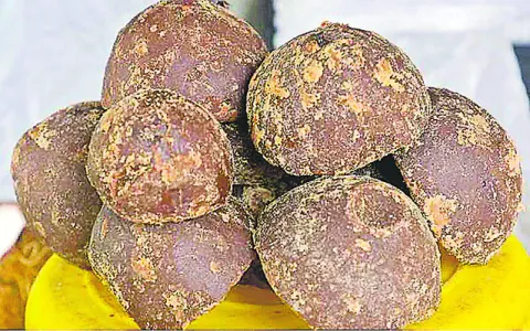 తమిళ బెల్లం.. రుచి అమోఘం