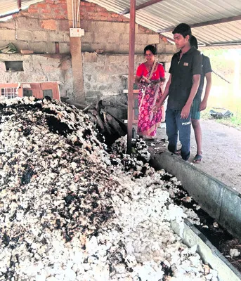 పత్తి పంట దగ్ధం 
