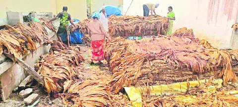 కంటి తుడుపు కొనుగోళ్లు 