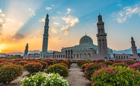 Work permits fake copies used for employment Oman to take strict action in the new year