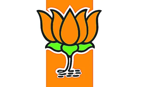 Mixed results for BJP in 2025
